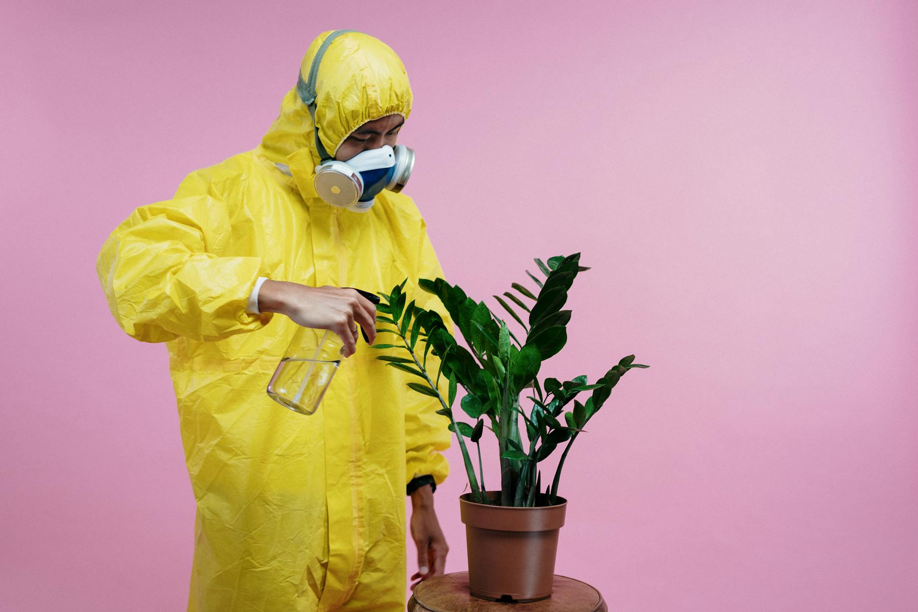 A man in a yellow protective suit sprays a potted plant indoors against a pink background.