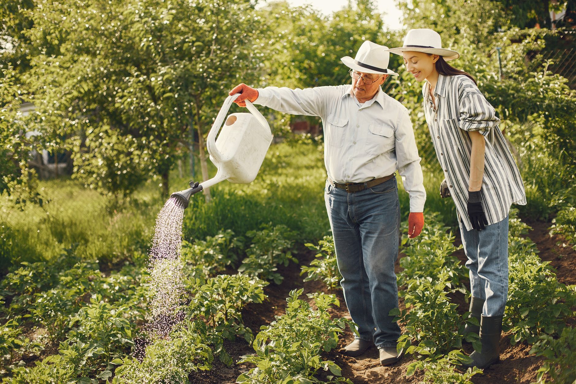 Two farmers watering crops in a lush summer garden, wearing fedoras and casual attire.