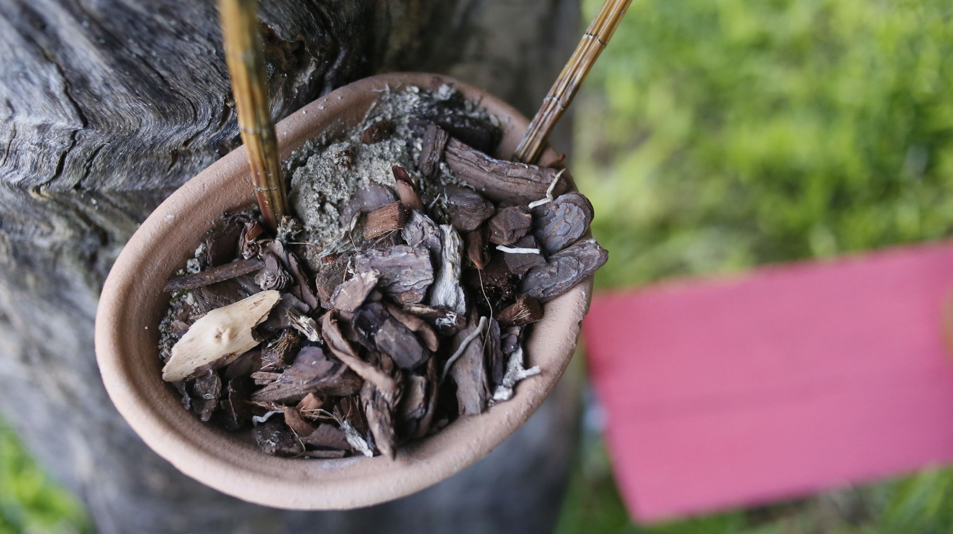 A wooden pot filled with soil and wooden mulch, surrounded by greenery outdoors.