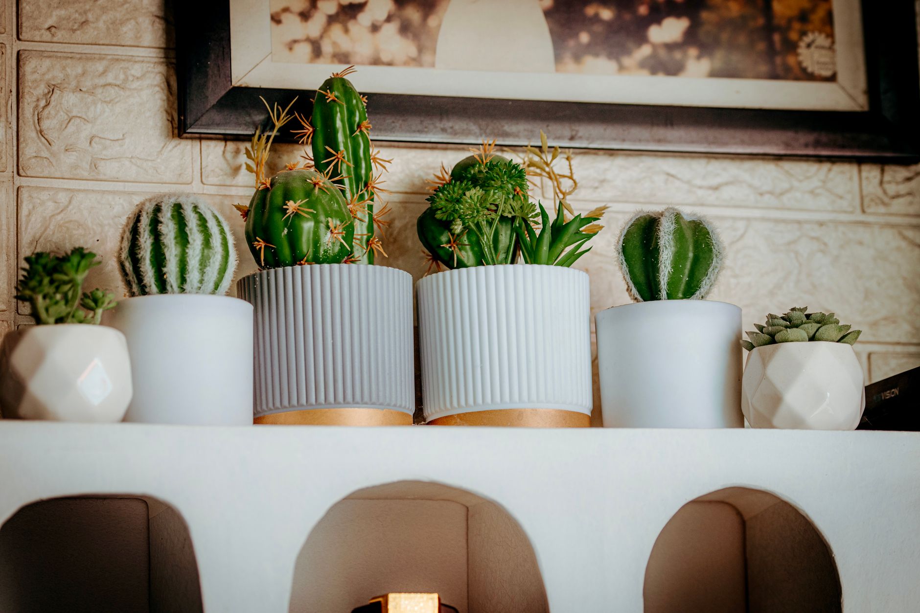 A diverse collection of succulents and cacti arranged in modern pots indoors.