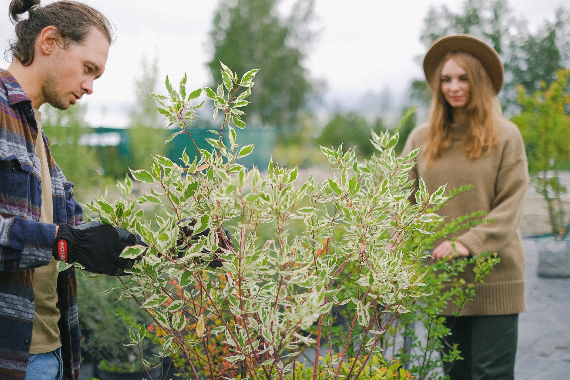 Young positive gardeners in casual wear tending plants while working together in abundant garden in daylight